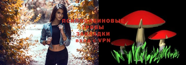 трава Армянск
